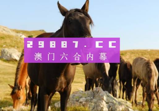 热点 第963页