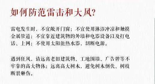 广东无强有限公司，卓越之路与未来展望