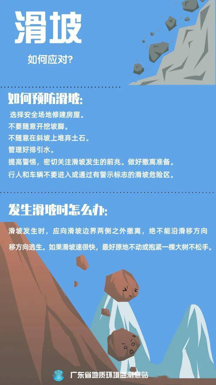 广东新策有限公司，引领新时代的先锋力量