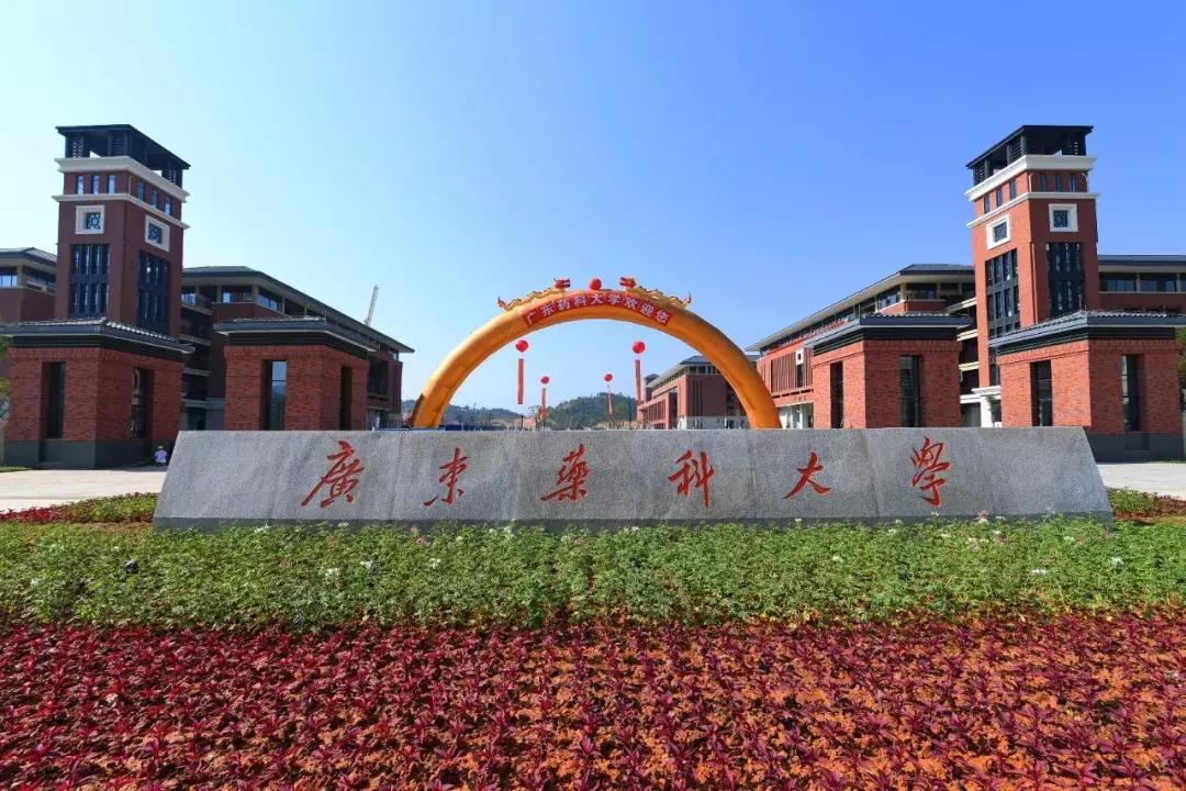 广东省的大学数量概览