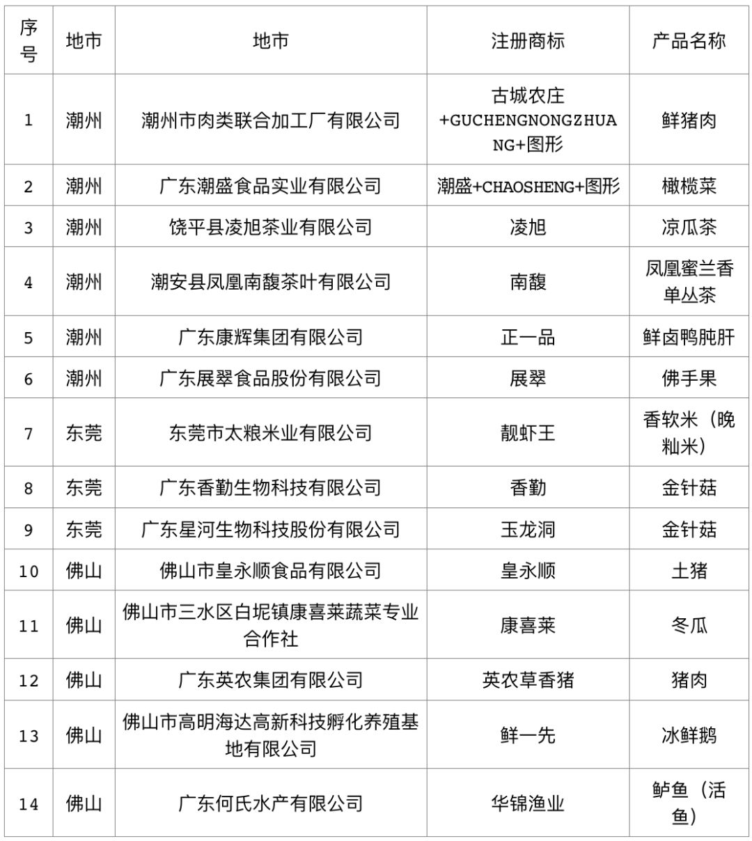 广东省名牌高校概览