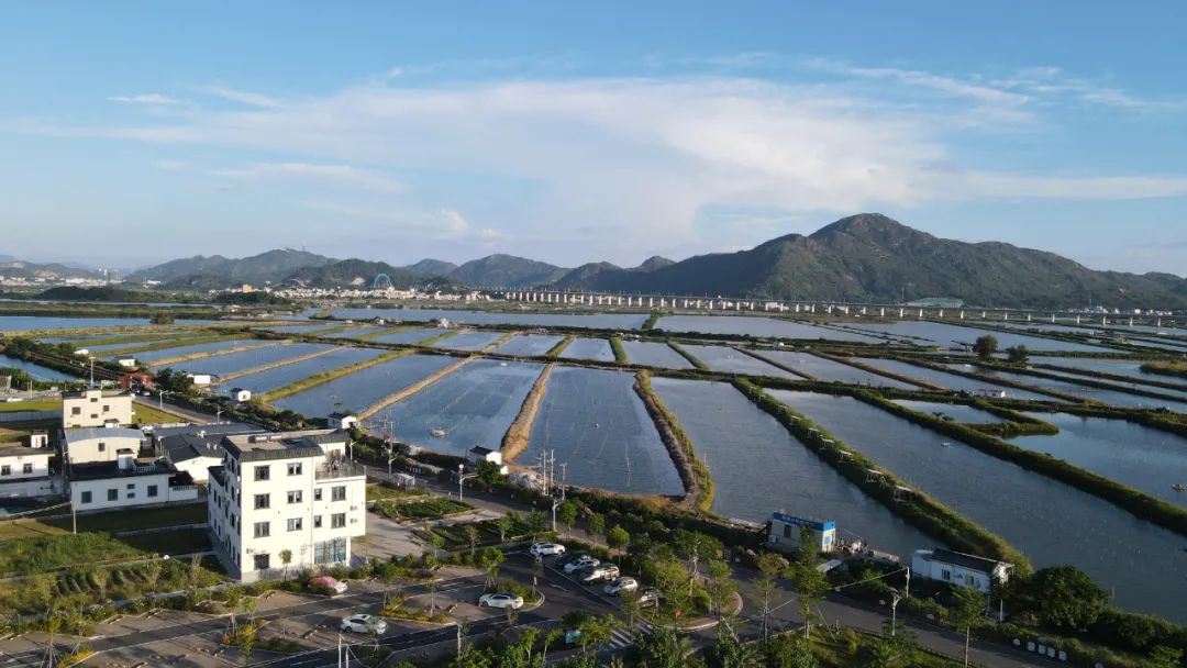 广东省汕尾市市城区，历史底蕴与现代魅力的交织地