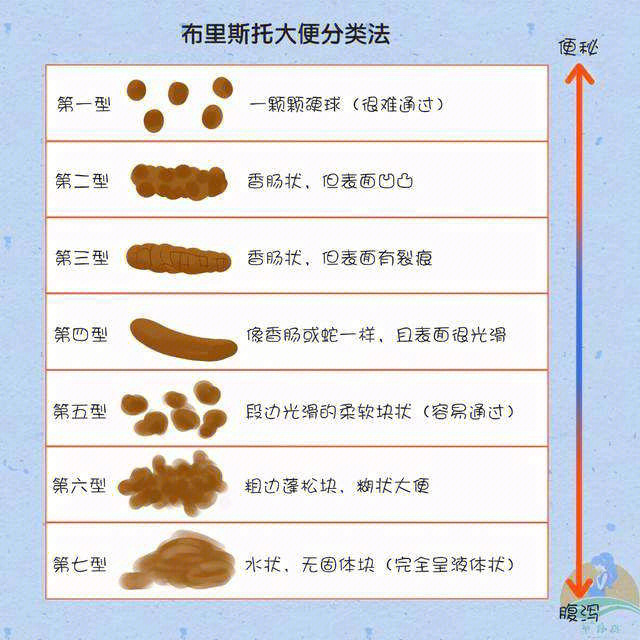 几个月宝宝大便成型，新手爸妈需知