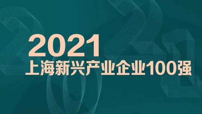 广东新兴新材料有限公司，引领行业发展的先驱力量