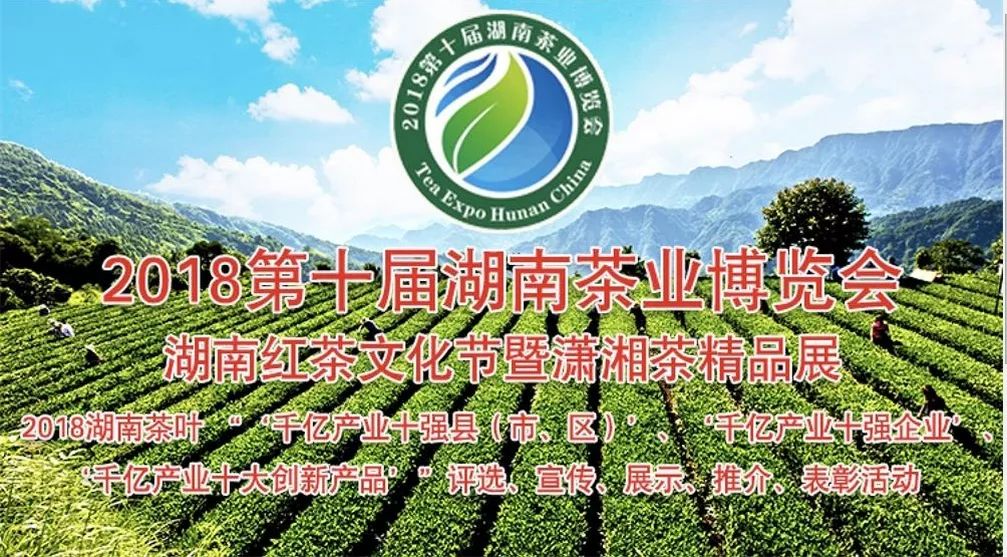 广东云雾山茶业有限公司，传承与创新中的茶业典范