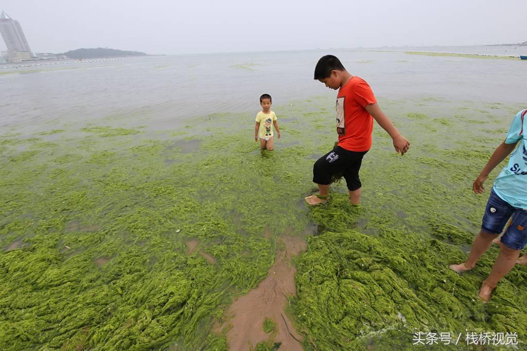 江苏环保科技购买指南，优质环保产品，守护你我他的生活环境