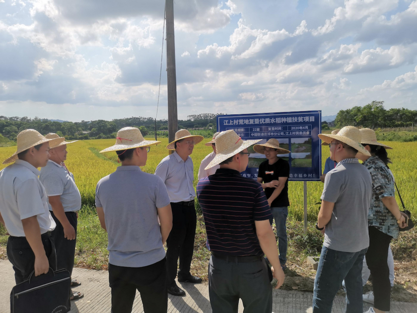 广东土地整理有限公司，引领土地整治新篇章